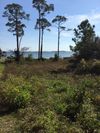2032 Pritchard Point Dr photo